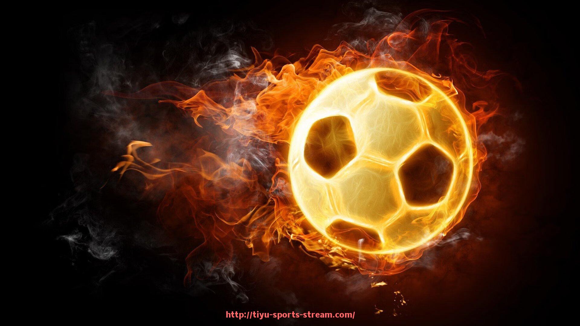 体育直播-关于德甲球队使用的巴士有哪些特别设计,这些设计体现了哪些文化元素的信息