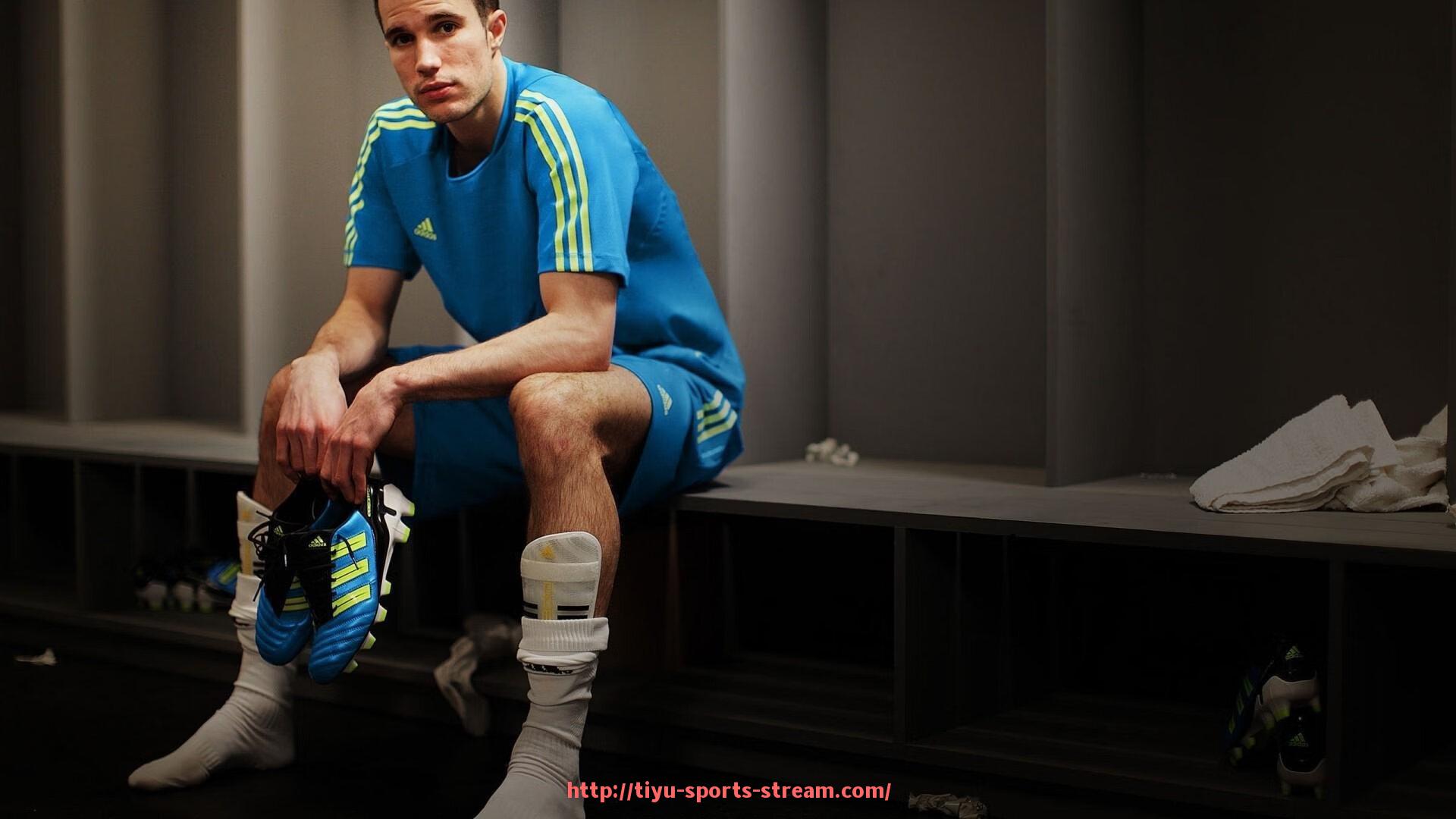 体育直播-关于德甲球队使用的巴士有哪些特别设计,这些设计体现了哪些文化元素的信息