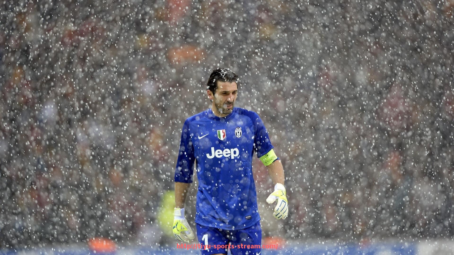 体育直播-后背健身器材的使用方法及体育锻炼指导