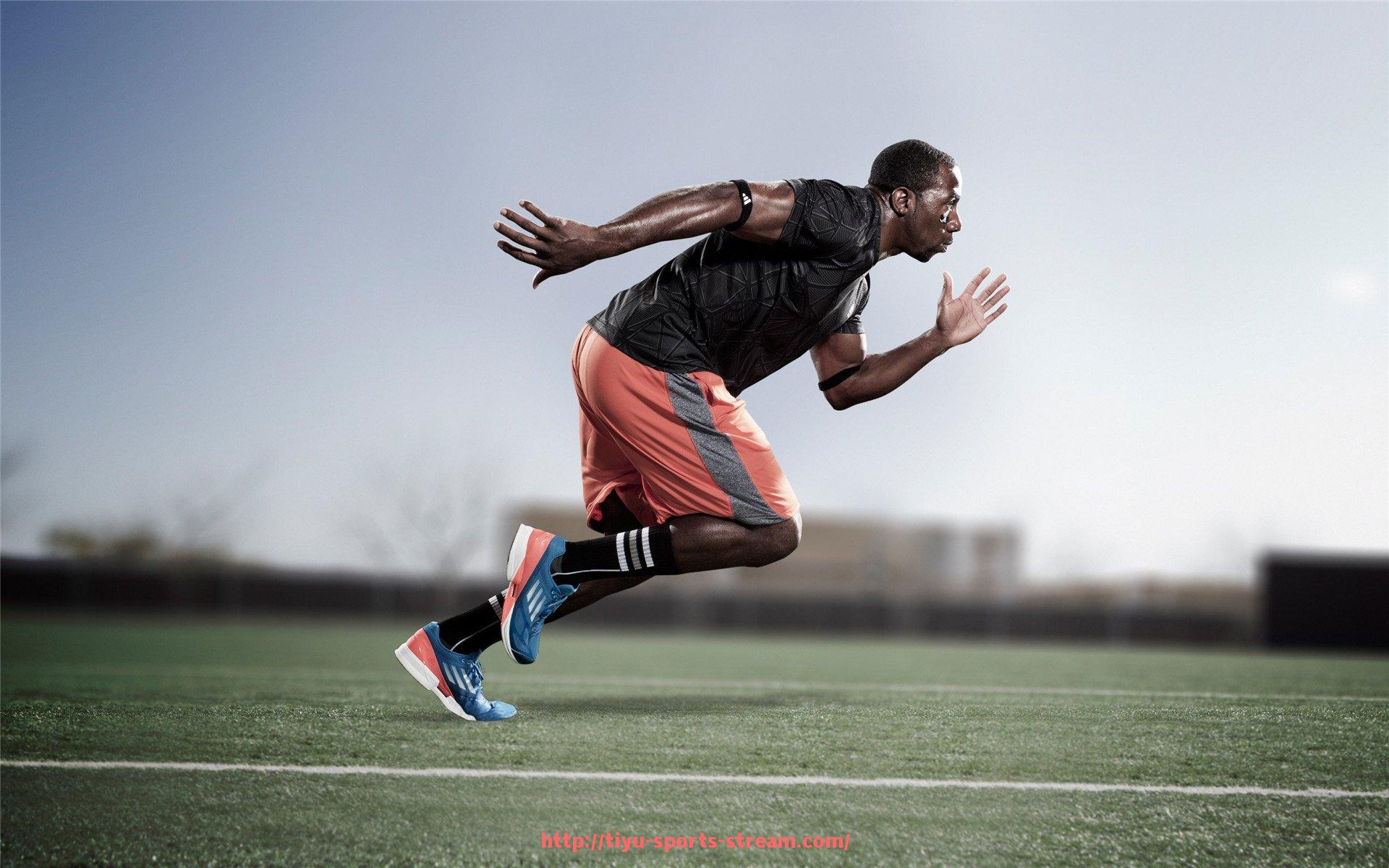 体育直播-美国必雀健身器材品牌介绍与高端产品系列